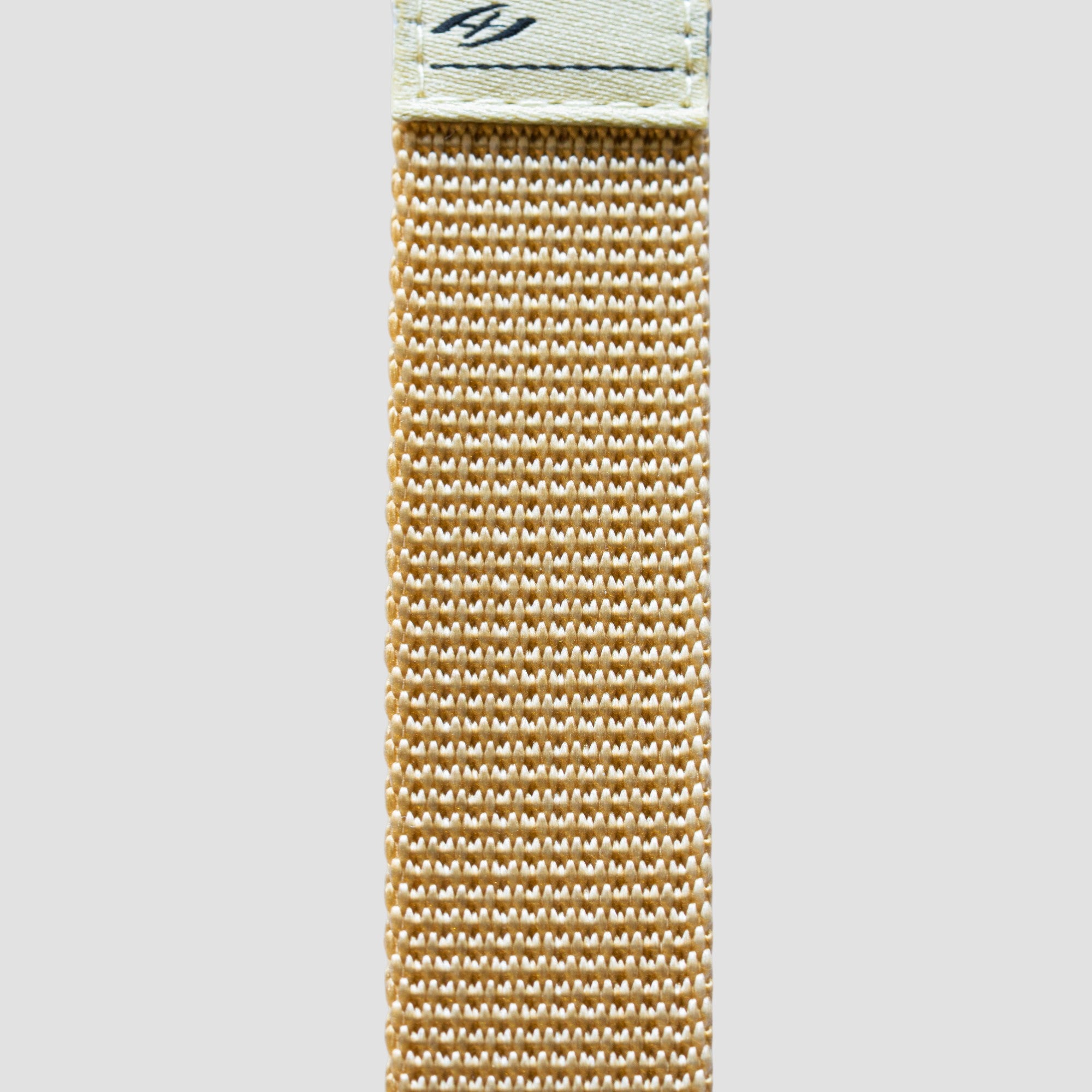 Arizona Tan (Band)