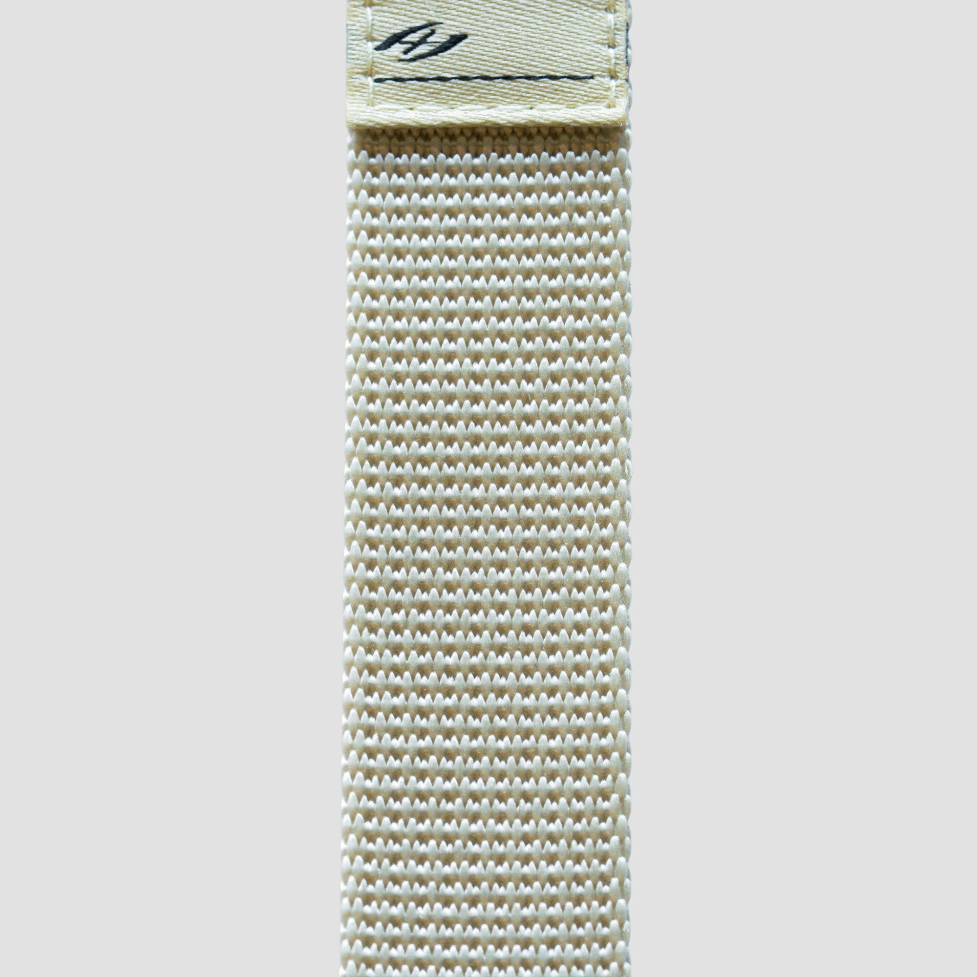 Bone White (Band)