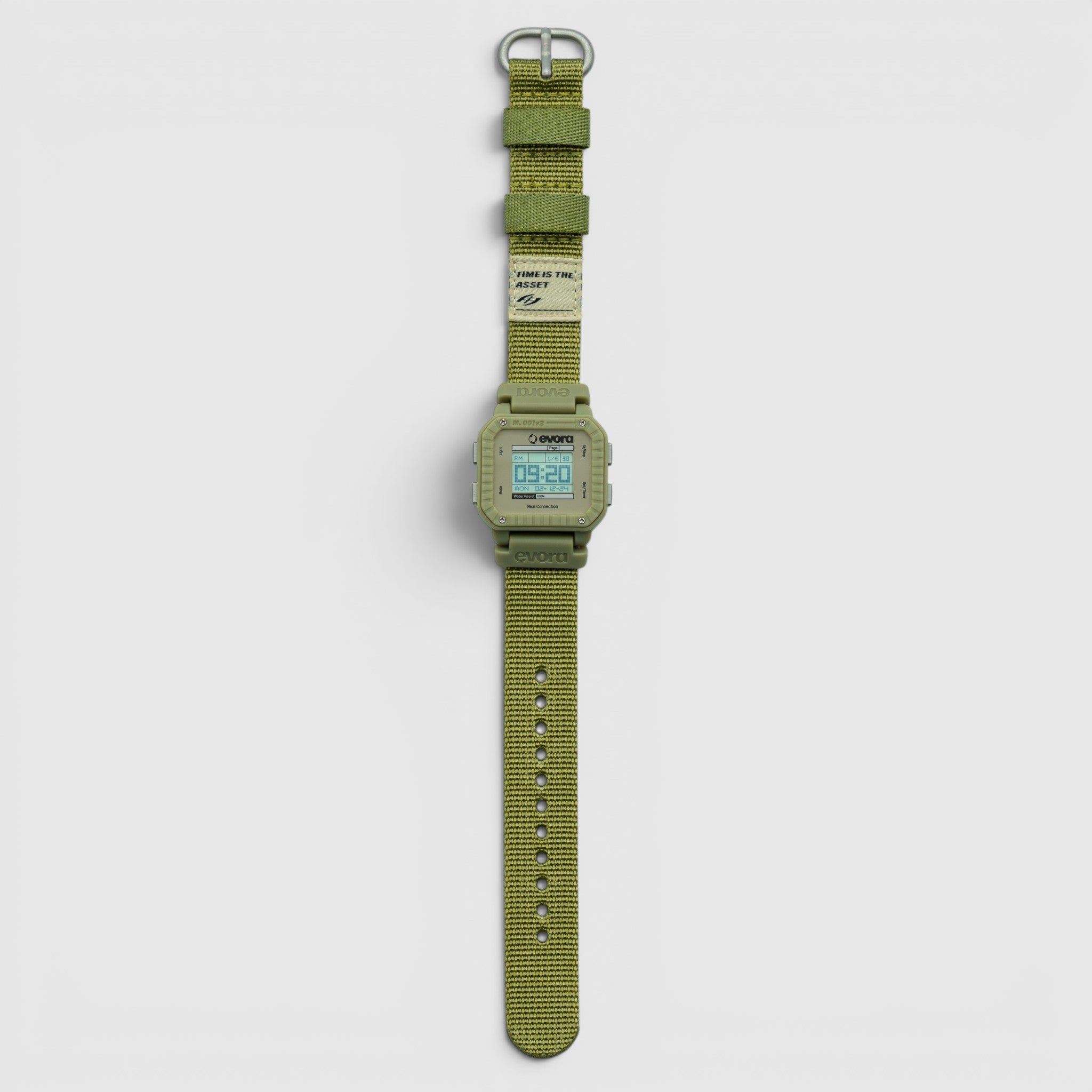 Olive (v2)