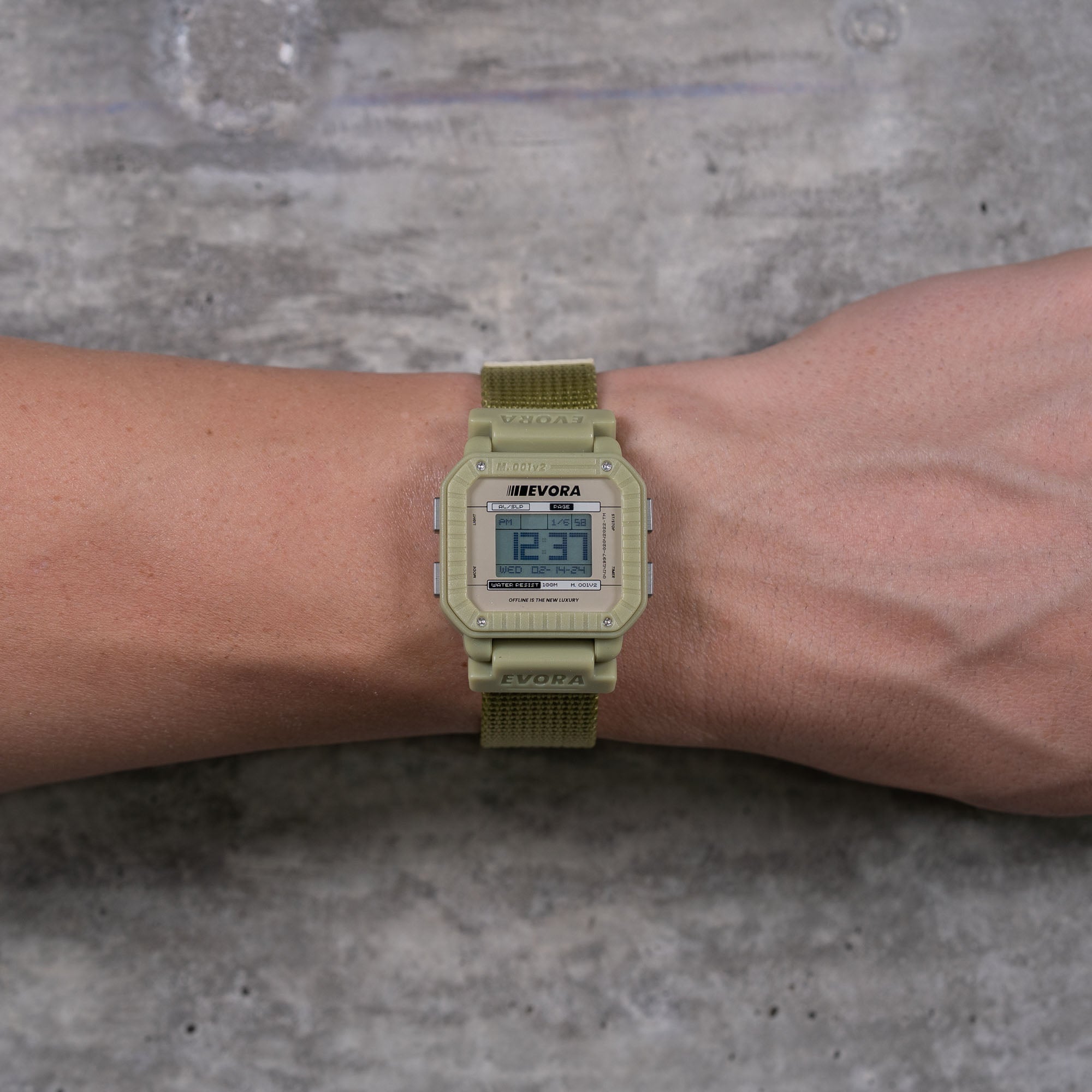 Olive (v2)