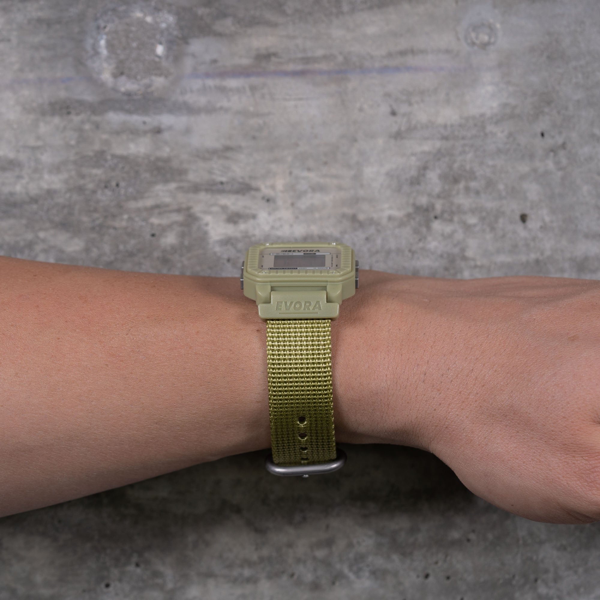 Olive (v2)