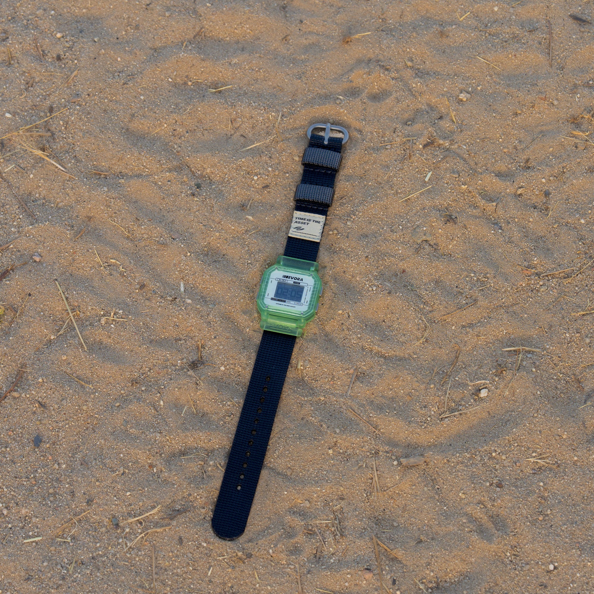 Seaweed (v2)